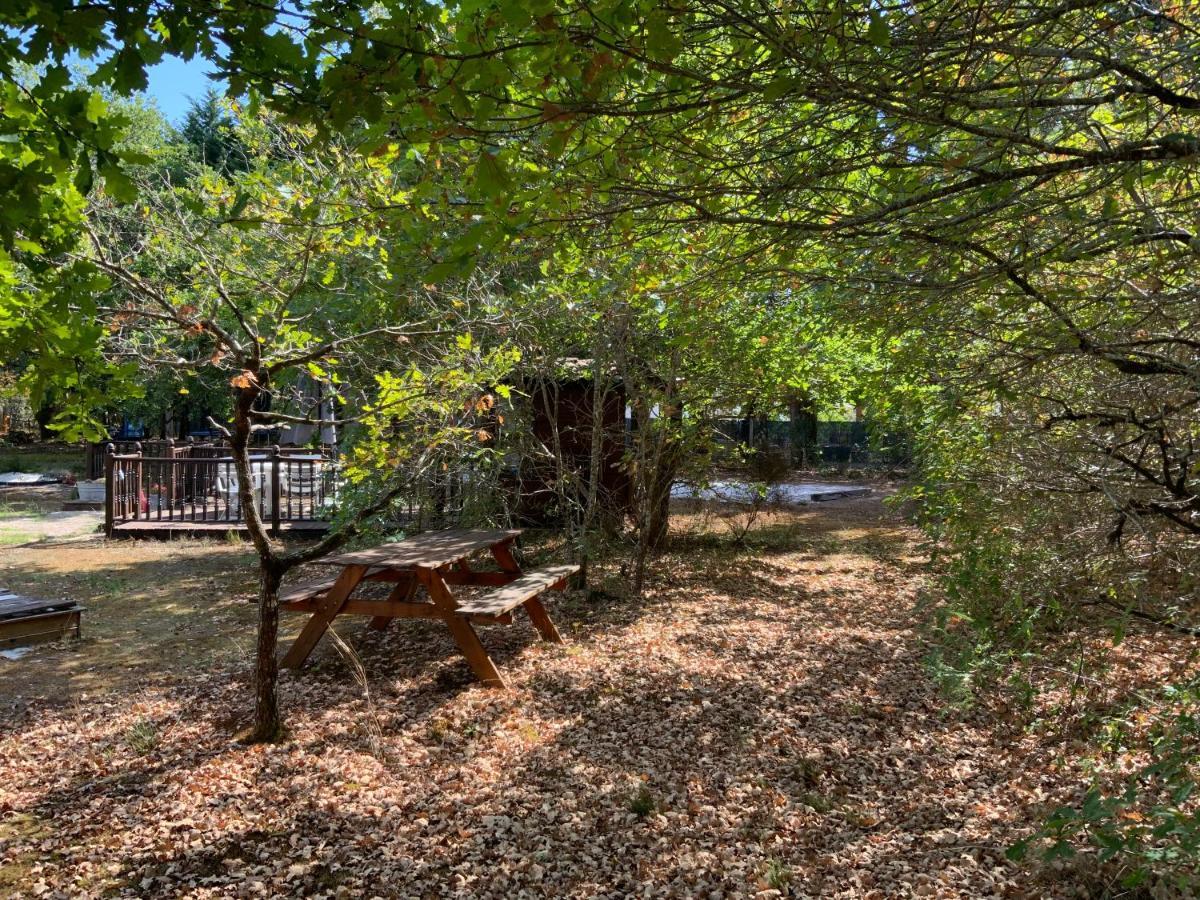 Domaine De Labelo Bed & Breakfast Commensacq Exterior photo