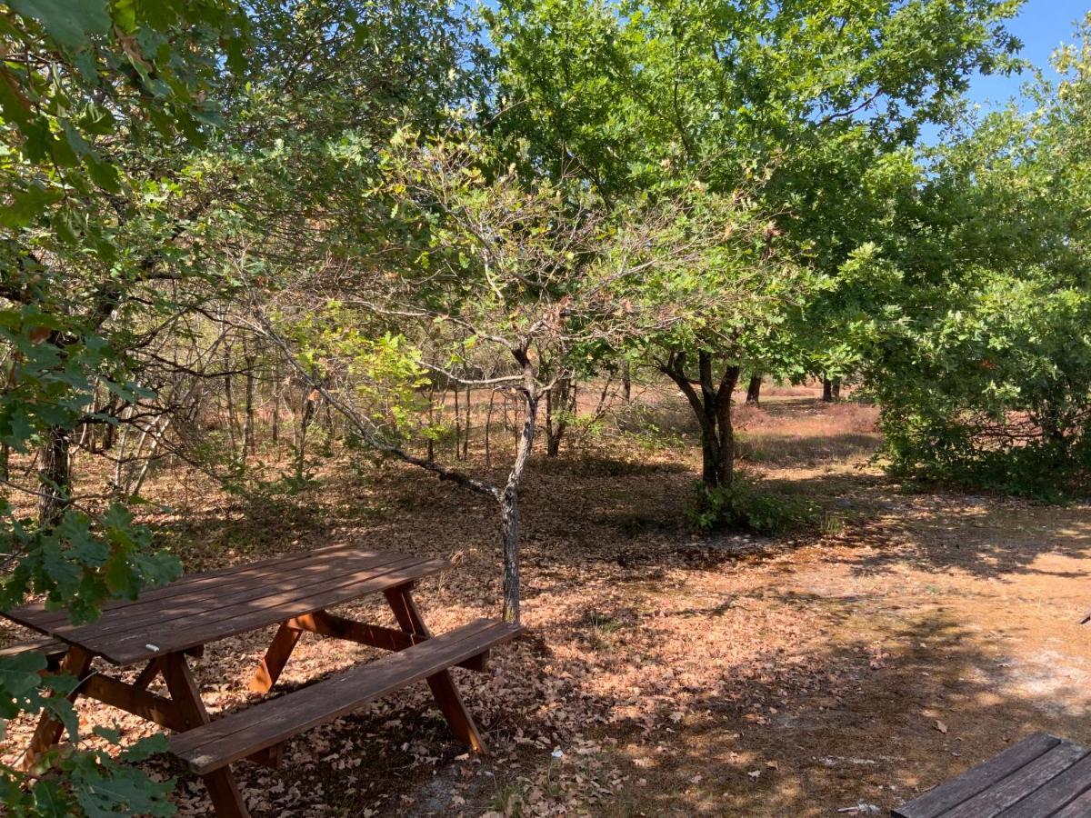 Domaine De Labelo Bed & Breakfast Commensacq Exterior photo