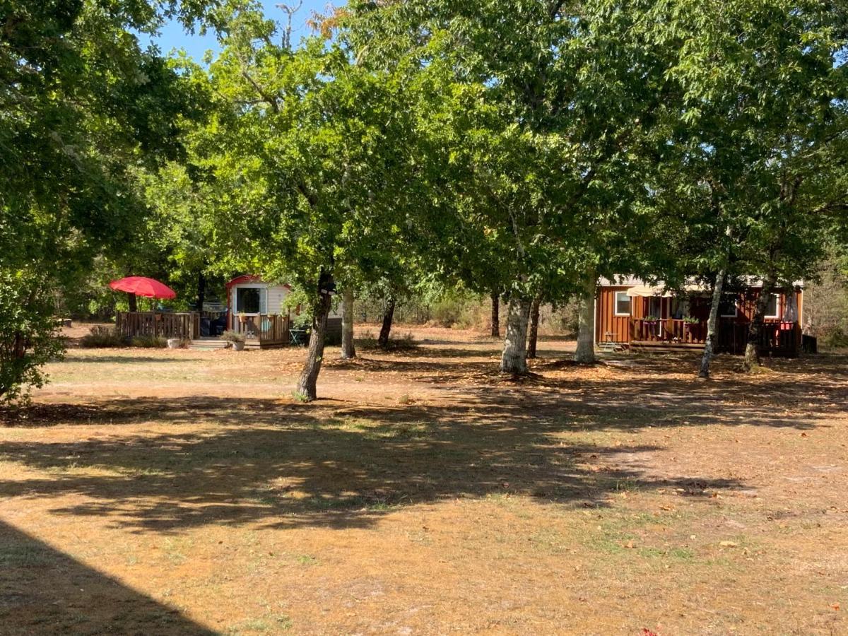 Domaine De Labelo Bed & Breakfast Commensacq Exterior photo